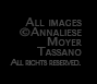 All images (c) Annaliese Moyer